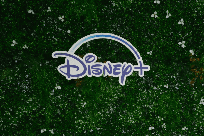 PARIS, FRANCE - NOVEMBER 09: General view of the Disney logo during the "Tout Va Bien" Premiere at cinema UGC Normandie at Cinema UGC Normandie on November 09, 2023 in Paris, France. (Photo by Edward Berthelot/Getty Images)